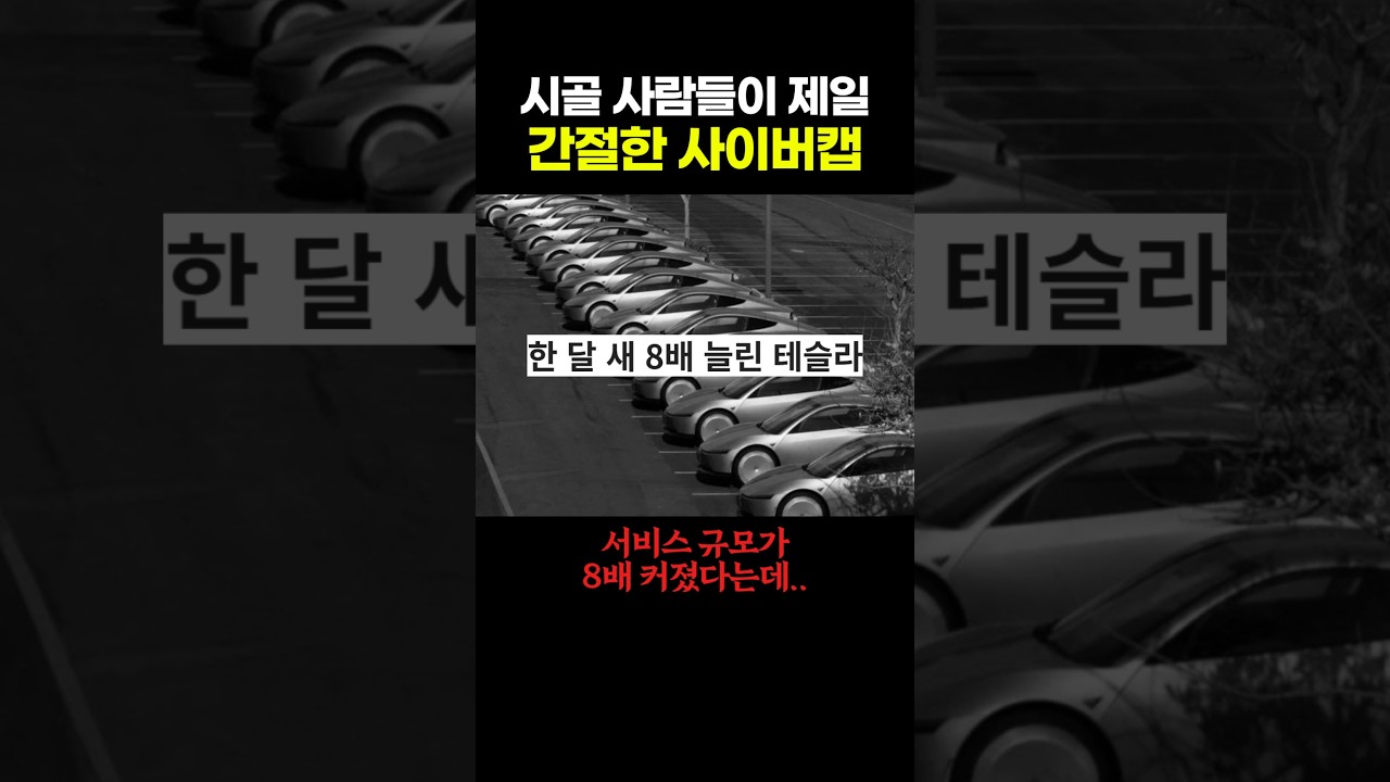 사이버캡 근황