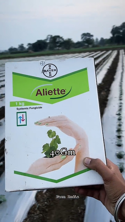 Bayer Aliette Systemic fungicide #music #farming #pestcontrol #agriculture#bayerfungicide  #organic