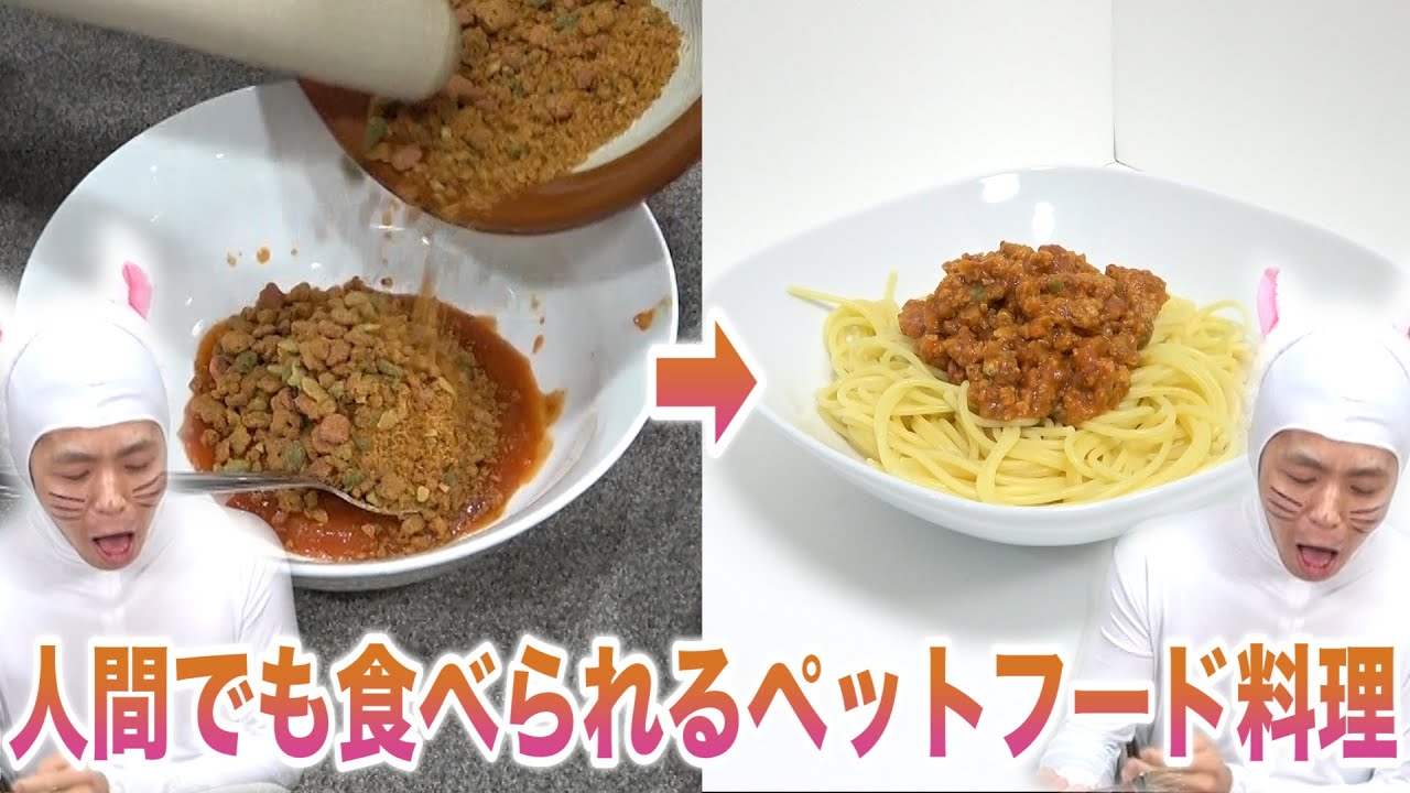 嗚咽 ペットフードを使って料理を作ってみよう Youtube