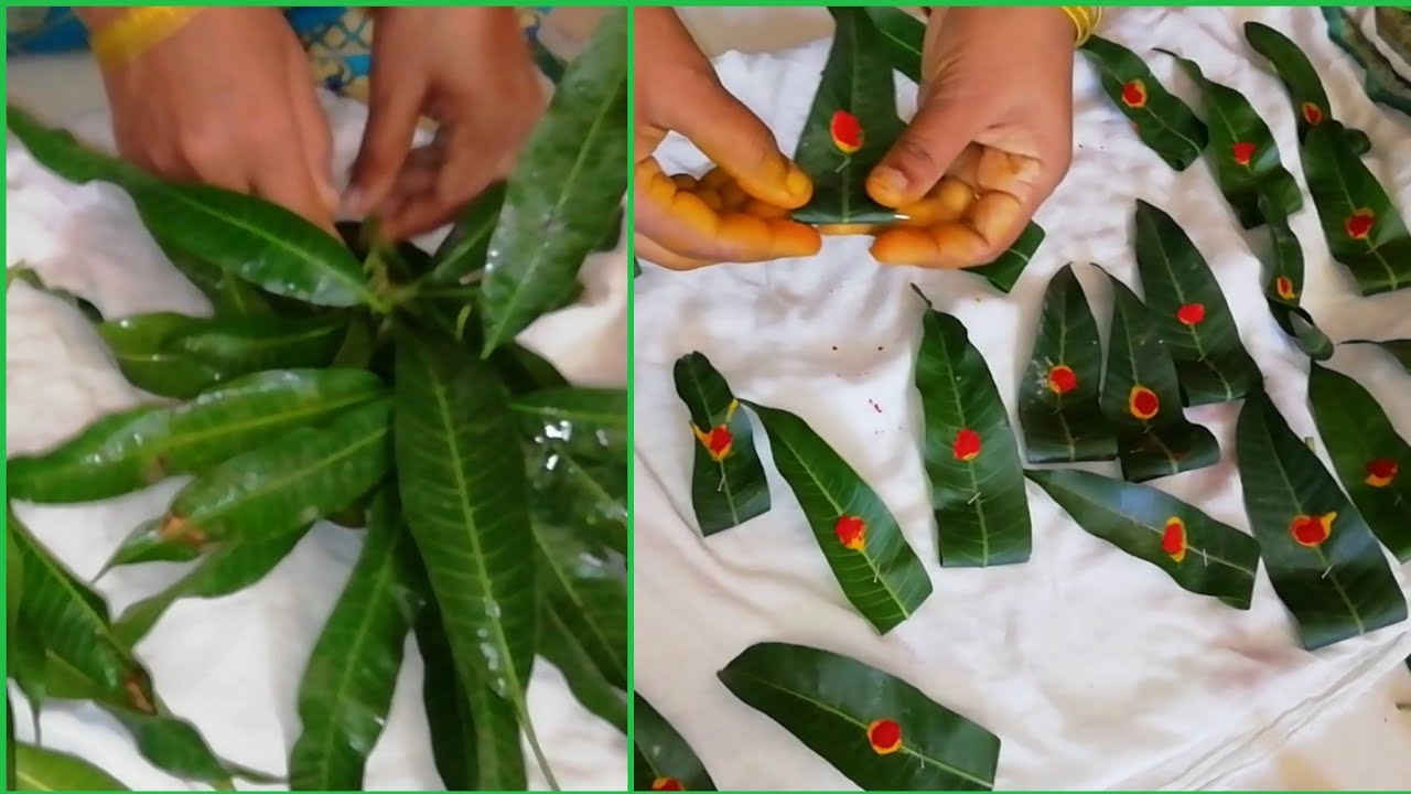 మ మ డ ఆక ల త రణ In Easy Way Mango Leaves Decoration For Festivals