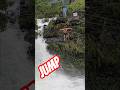 Go with the current and the crazy jump #travel #waterfall #jump
