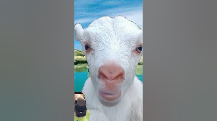 goat eating #viral #public #shorts #youtubeshorts #goat