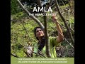 Amla The Miracle Fruit | Amla Fruit Supplement | Ojas Ayurveda