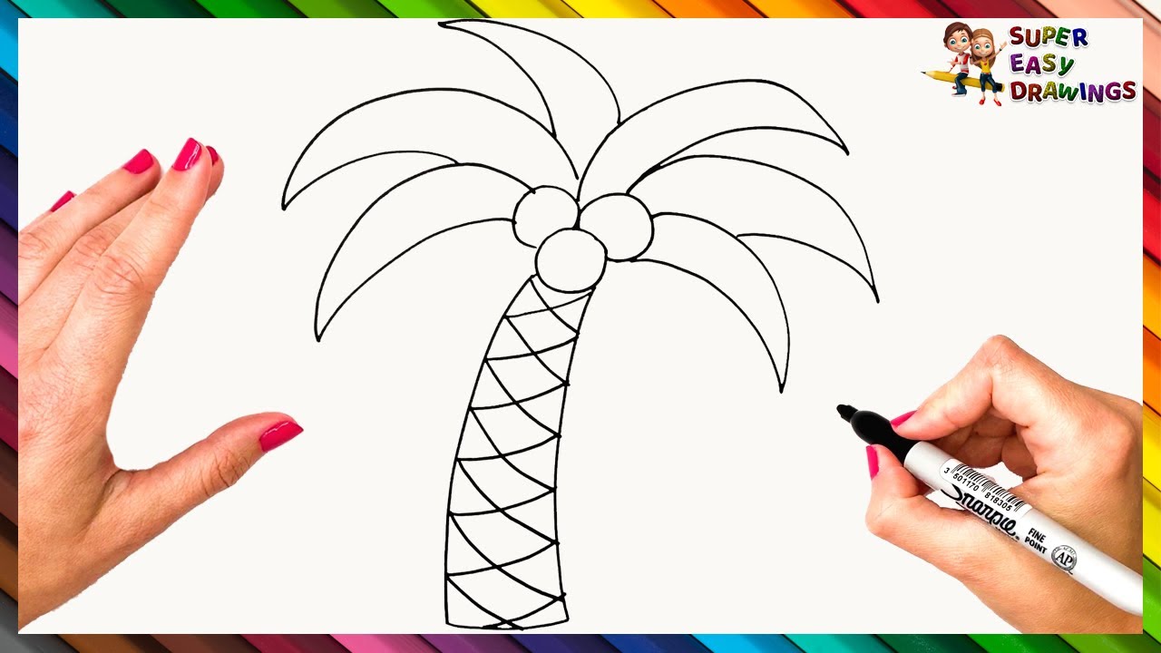 Palm tree line drawing hires stock photography and images  Alamy