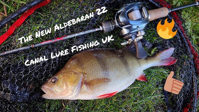 Testing the 2022 Shimano ALDEBARAN BFS - First Impressions and Review 