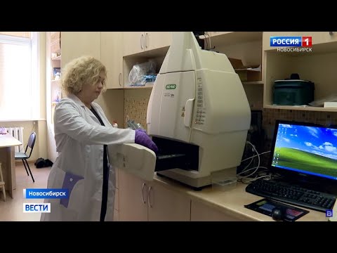 Новосибирские учёные разработали 3D-модель рака молочной железы