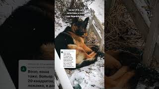 Полюбил Тёплую Будку И Решил Прохладиться