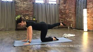 Bird Dog Level 2- Bodyworks Exercise Series