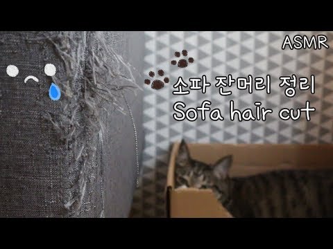 ASMR 소파 잔머리 정리🛋 🐾Sofa hair cut / Eng sub