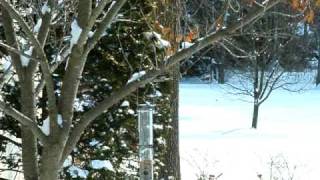 DSCF3158.AVI