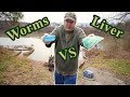 Nightcrawlers vs Chicken Liver | Most popular catfish bait challenge?