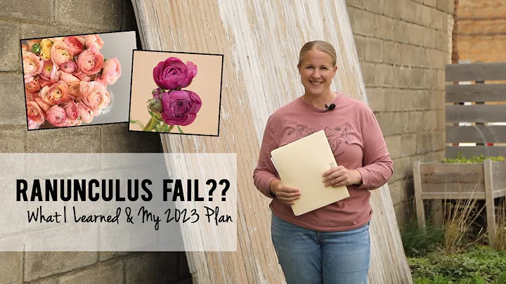 Ranunculus Update : What I Learned and 2023 Grow P...