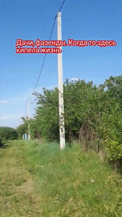 Улица СНТ расположенного между городом Семилуки и селом Ендовище. Дачи ...