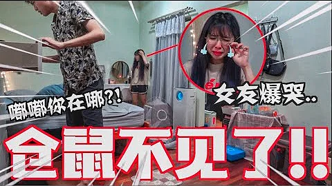 宠物仓鼠突然消失!! 怎么都找不着..//女友崩溃哭了! - 天天要闻