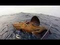 Spearfishing Dimitris Pantelaios #01