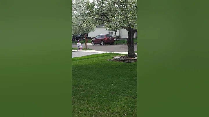 Poohbear scooter