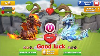 Are you Ready for Wind Ancient-Dragon Mania legends | Hatched Marine Dragon | DML