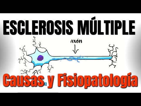 Vídeo: Impacto De Las Células B En La Fisiopatología De La Esclerosis Múltiple