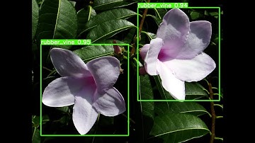 Weed Classification Mobile app using Deep Learning and Computer vision