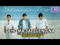 NIRWANA TRIO - DIHO MA SALELENGNA