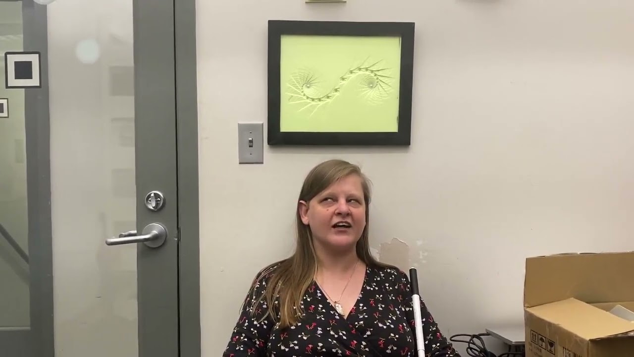 About the Dimensions Project at NYPL Andrew Heiskell Braille Talking