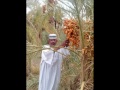 الفنان الباقر المغاوير سجل لي رقم تلفونك