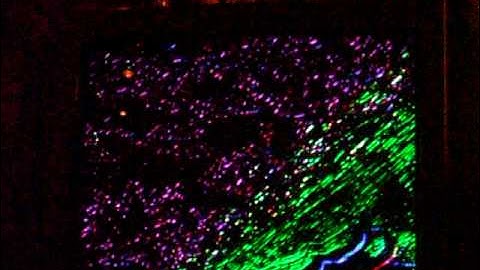 TIPA_SHOW_12_2008_part_of_____temp____