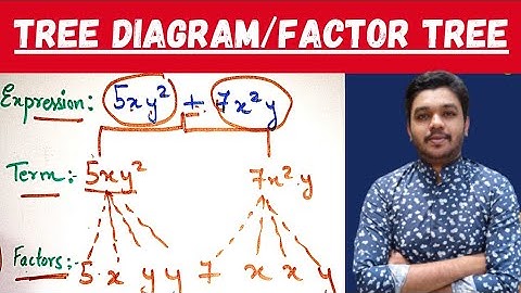 WHAT IS TREE DIAGRAM OR FACTOR TREE? | ALGEBRAIC EXPRESSION| CH-12| CLASS 7| MATHSPEDIA | In Hindi |