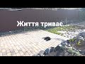 Життя триває...#cat