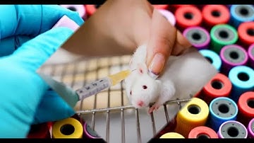 10 Deadly Viruses And Bacteria Created In Labs