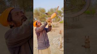 Oya Cobra With Jagga Jogi