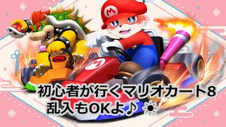 突発枠：マリオカート乗ってみた！