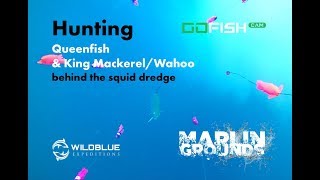 Famous Hunting Talang Queenfish & King Mackerel/Wahoo behind the squid dredge Profile
