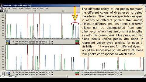 animation about the basic components of an electropherogram