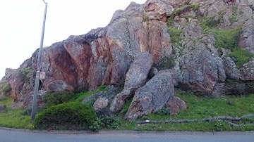 Mud Fossil Alert: San Francisco next to Turtle Hill