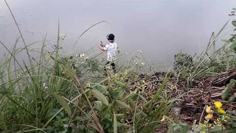 Câu cá mè ba tiêu