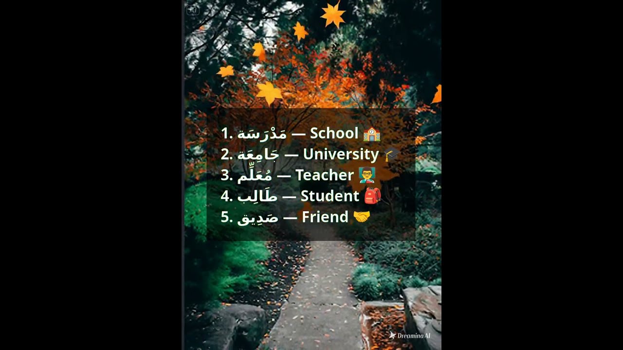 arabic vocab3 with audio1