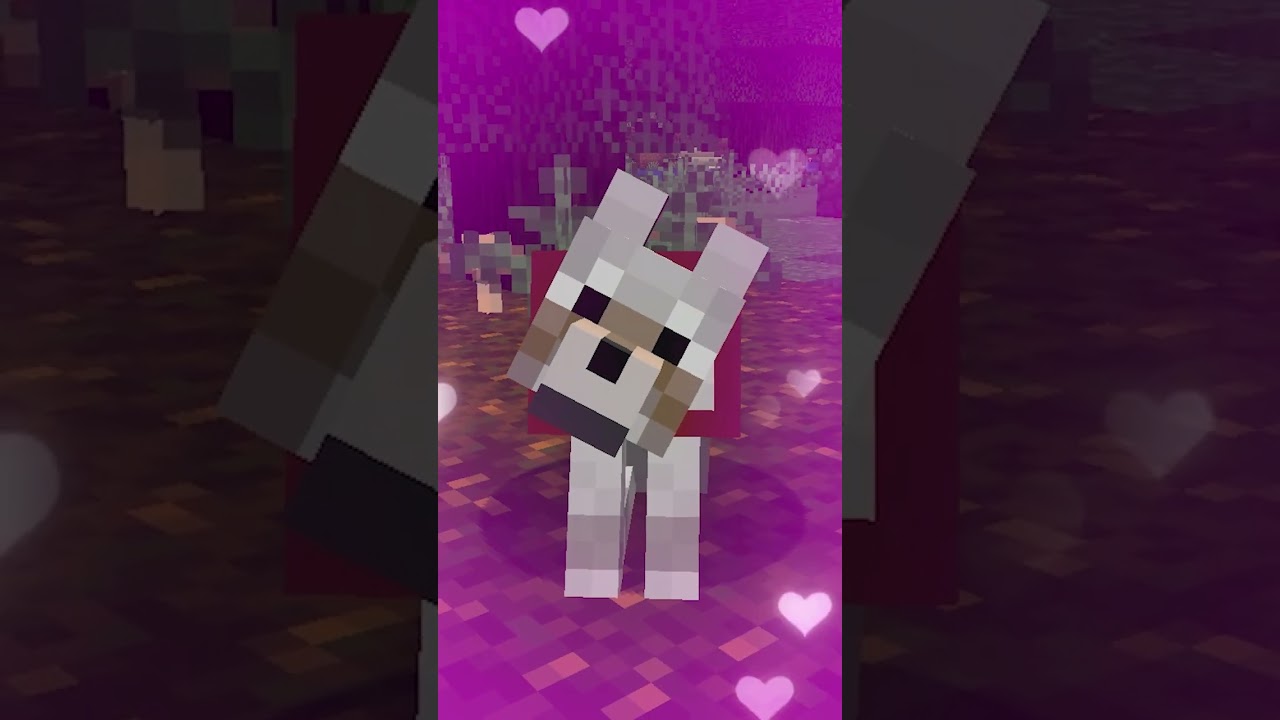 I Beat Minecraft on the Worlds Smallest TV