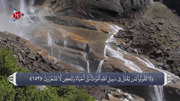 شهدا در قران_ سوره بقره آیه 154