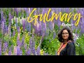 Gulmarg  meadow of flowers  gondola ride  kashmir vlog 5