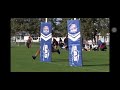 Germon Paulo try vs Marlins