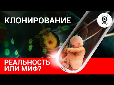 КЛОНИРОВАНИЕ ЧЕЛОВЕКА – РЕАЛЬНОСТЬ?!