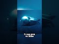 This Submarine Is Faster Than Dolphins 🤯🌊