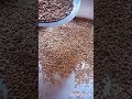 طريقة أكلة الروينة أكلة صحية بالقمح