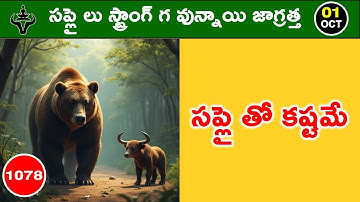 Mister Trader Daily Market Analysis with Logic | Mr. Trader | 1078#mistertraderofficial #trading