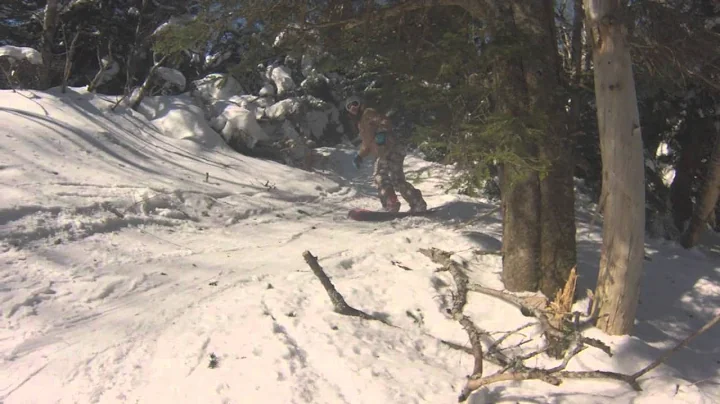 Stratton Gore 2013 2014 2