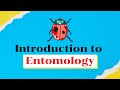 Introduction of Entomology (कीट विज्ञान का परिचय) for AFO, SO, JRF, Pre-PG, NABARD, FCI, BHU