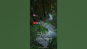 اجمل حالات وتس اب دينية (سورة ابراهيم)😴❤️🍃