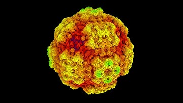 3D History Dependent Cellular Automata