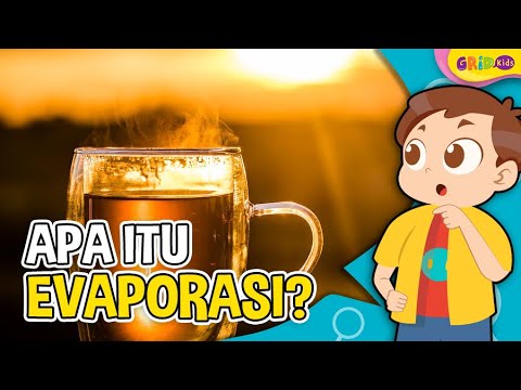 Apa Itu Evaporasi - Faktor Faktor yang Memengaruhi Proses Terjadinya